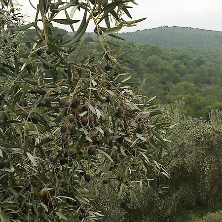 Σπίτι διακοπών Pefko House *